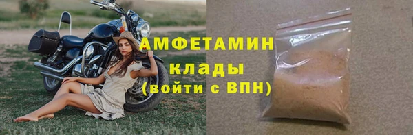 молекула духа Карпинск
