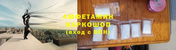 молекула духа Карпинск