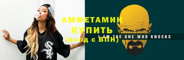 молекула духа Карпинск