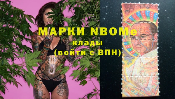 ГАЛЛЮЦИНОГЕННЫЕ ГРИБЫ Касимов
