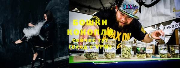 молекула духа Карпинск